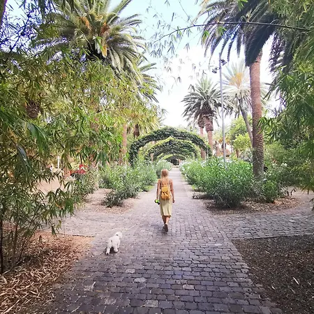 Apartament Home2book Bright & Cozy Cruz *